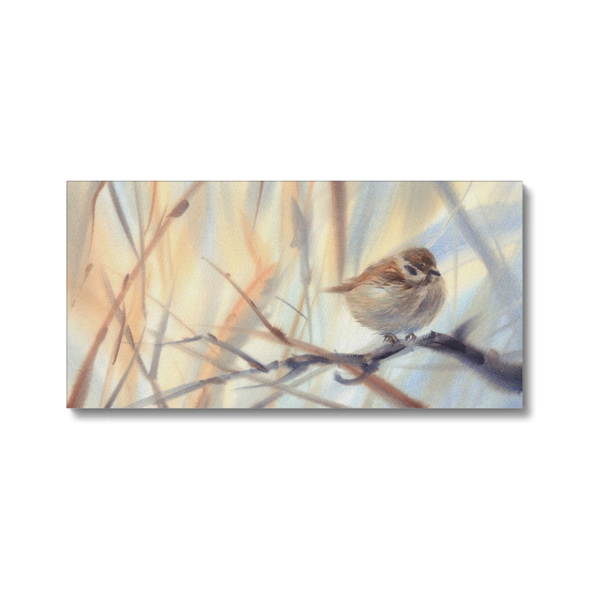 Sparrow & Snow Canvas