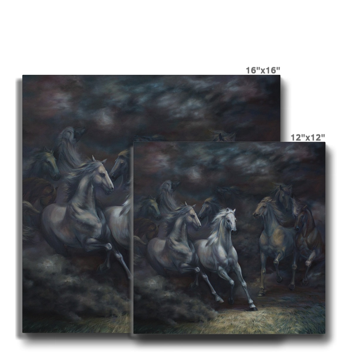 Fascinating Horse Herd Canvas