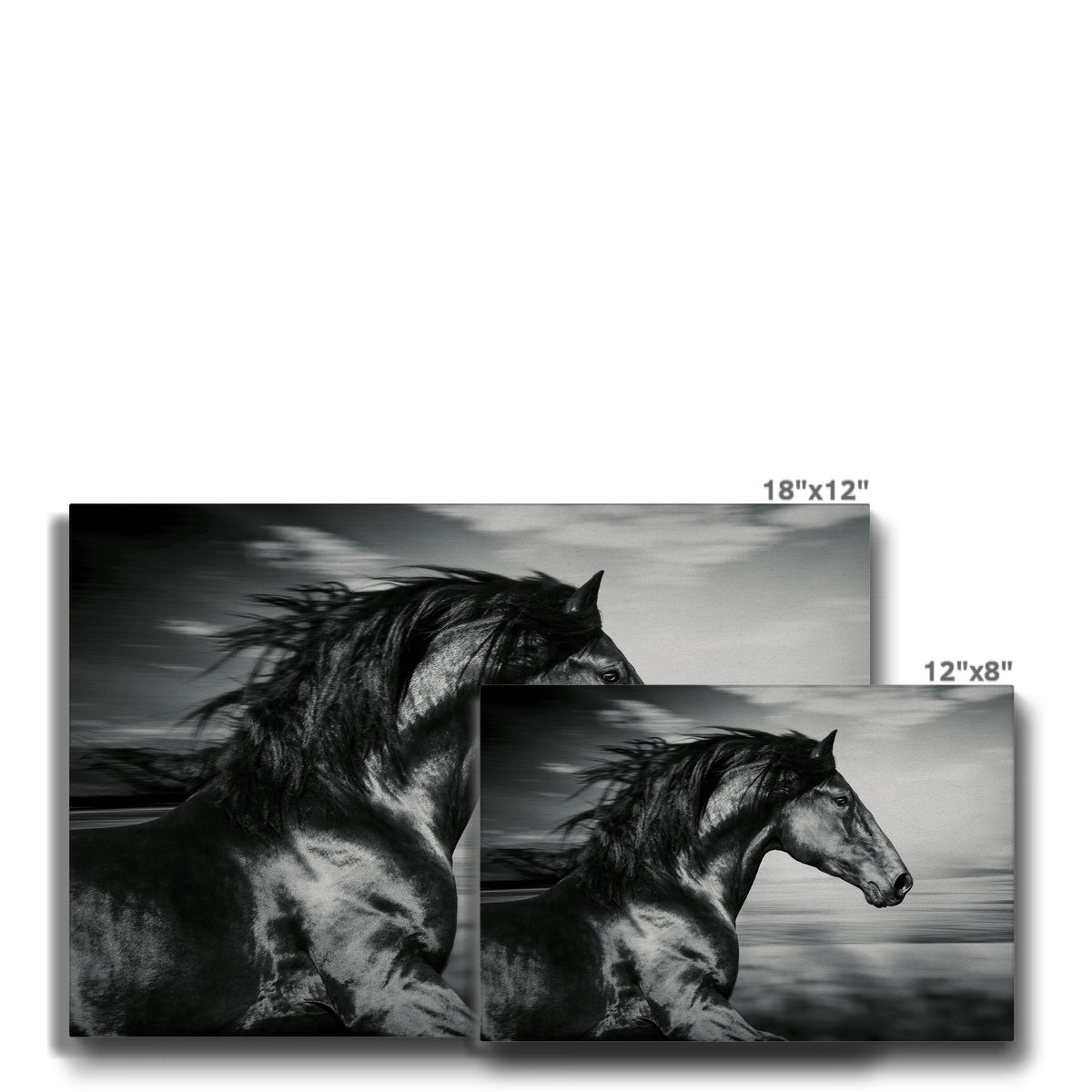 Striking Black Horse Painting Canvas