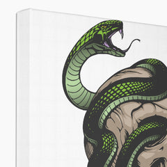 Skull & Snake Illustration Canvas