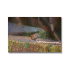 Little Sparrow In Nature Canvas