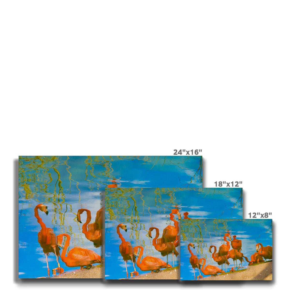 Flamingos On Beachside Canvas