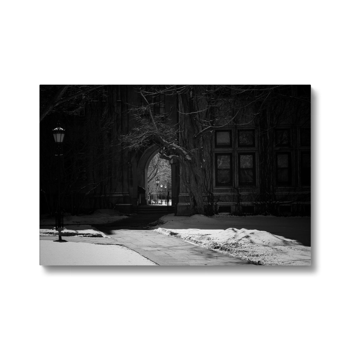 Greyscale Gothic Wall Decor Canvas