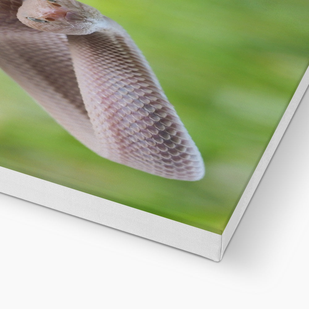 Ethereal Pink Snake Canvas