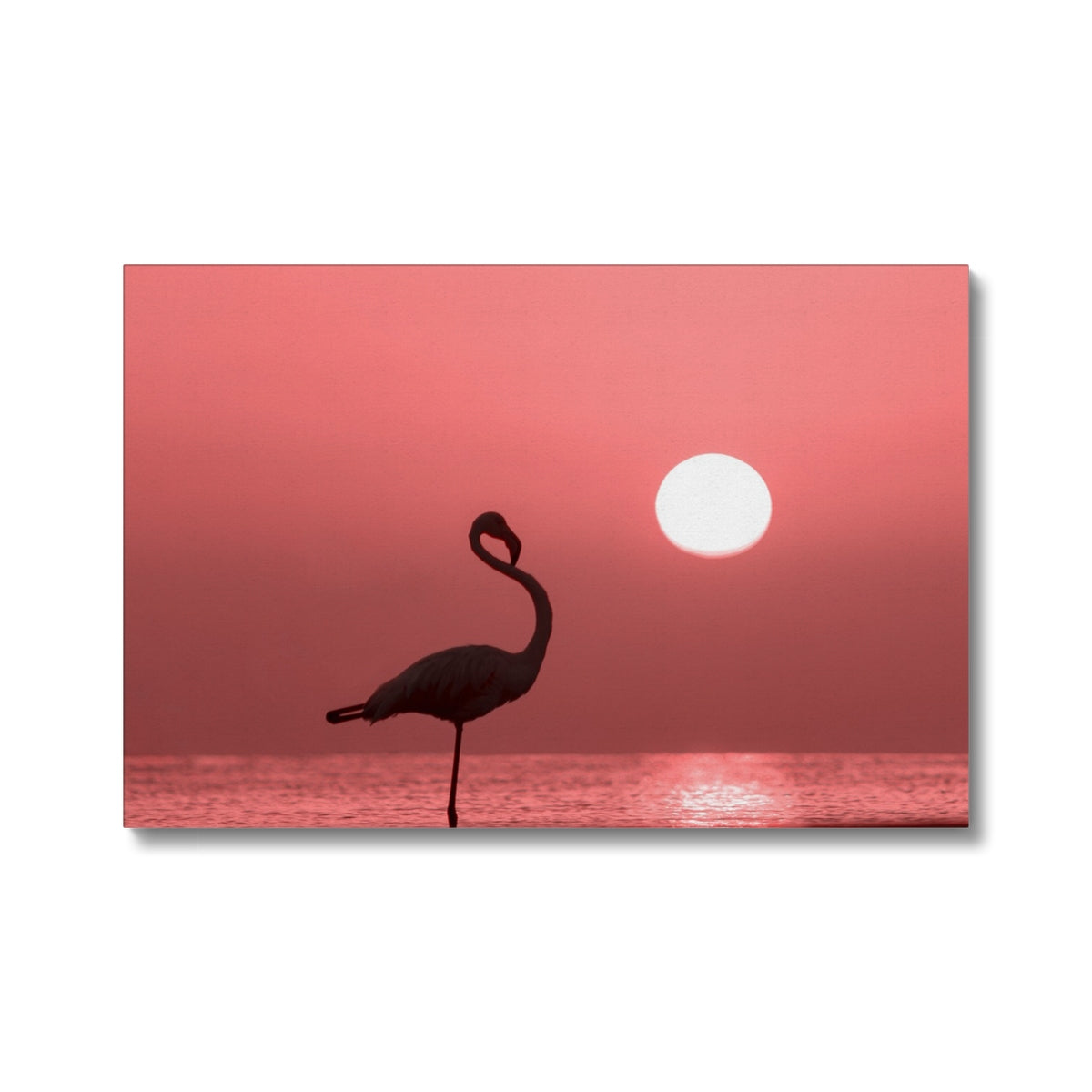 Flamingo & Pink Sky Canvas