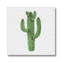 Impressive Illustration Of Cacti Canvas