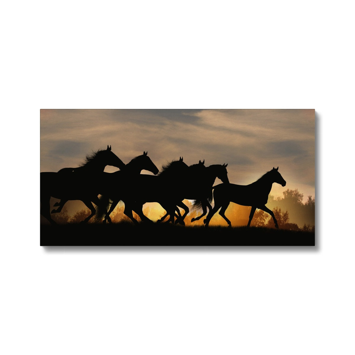 Horses Shadow & Sunset Canvas