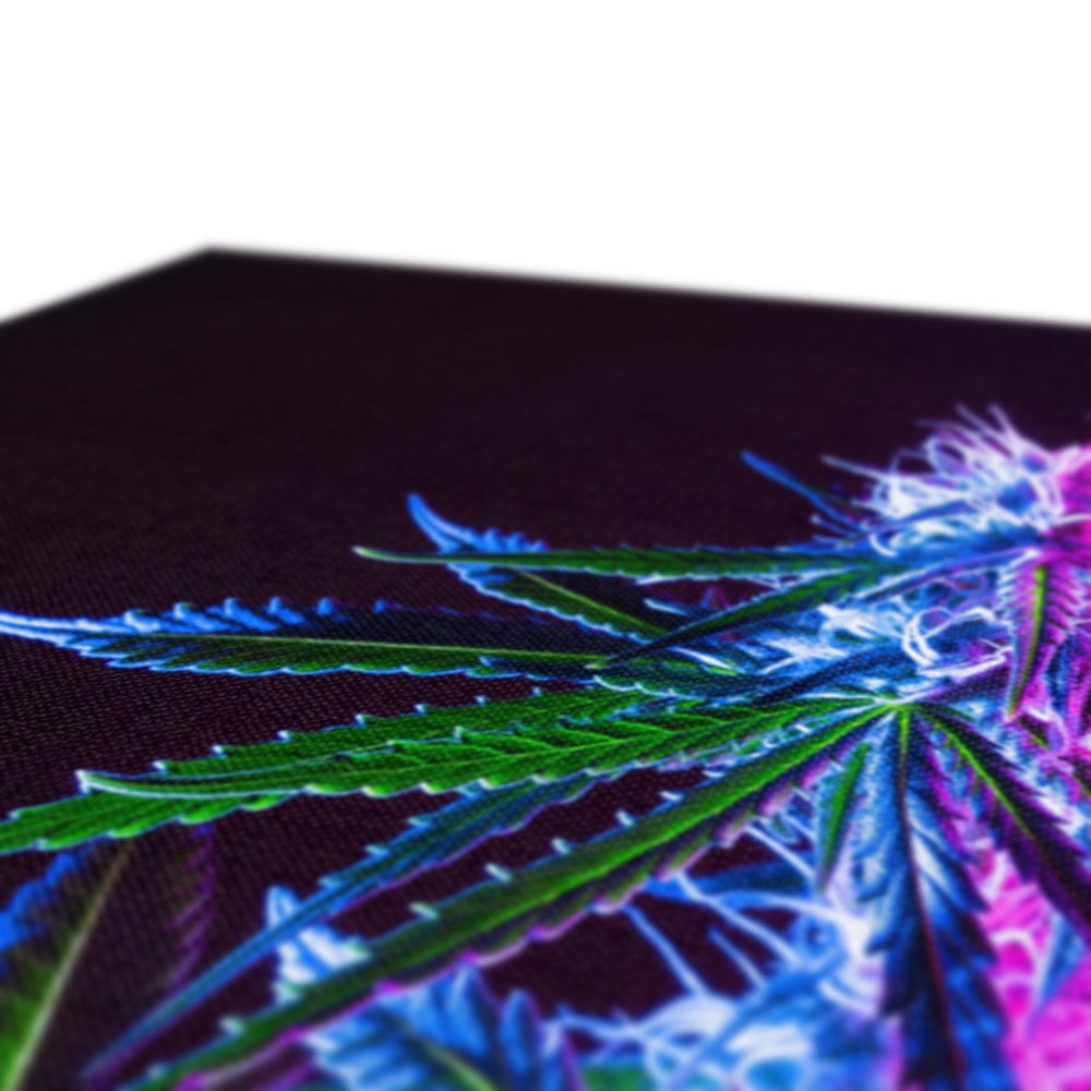 Green & Purple Marijuana Leaves Art Canvas