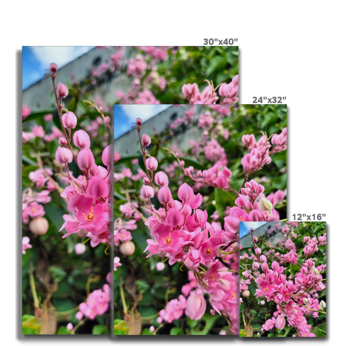 Aesthetic Little Pink Flowers Canvas