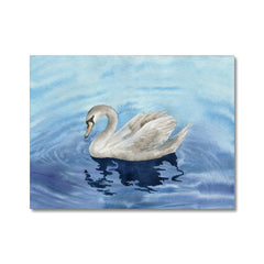 Graceful Swan Portrait Canvas