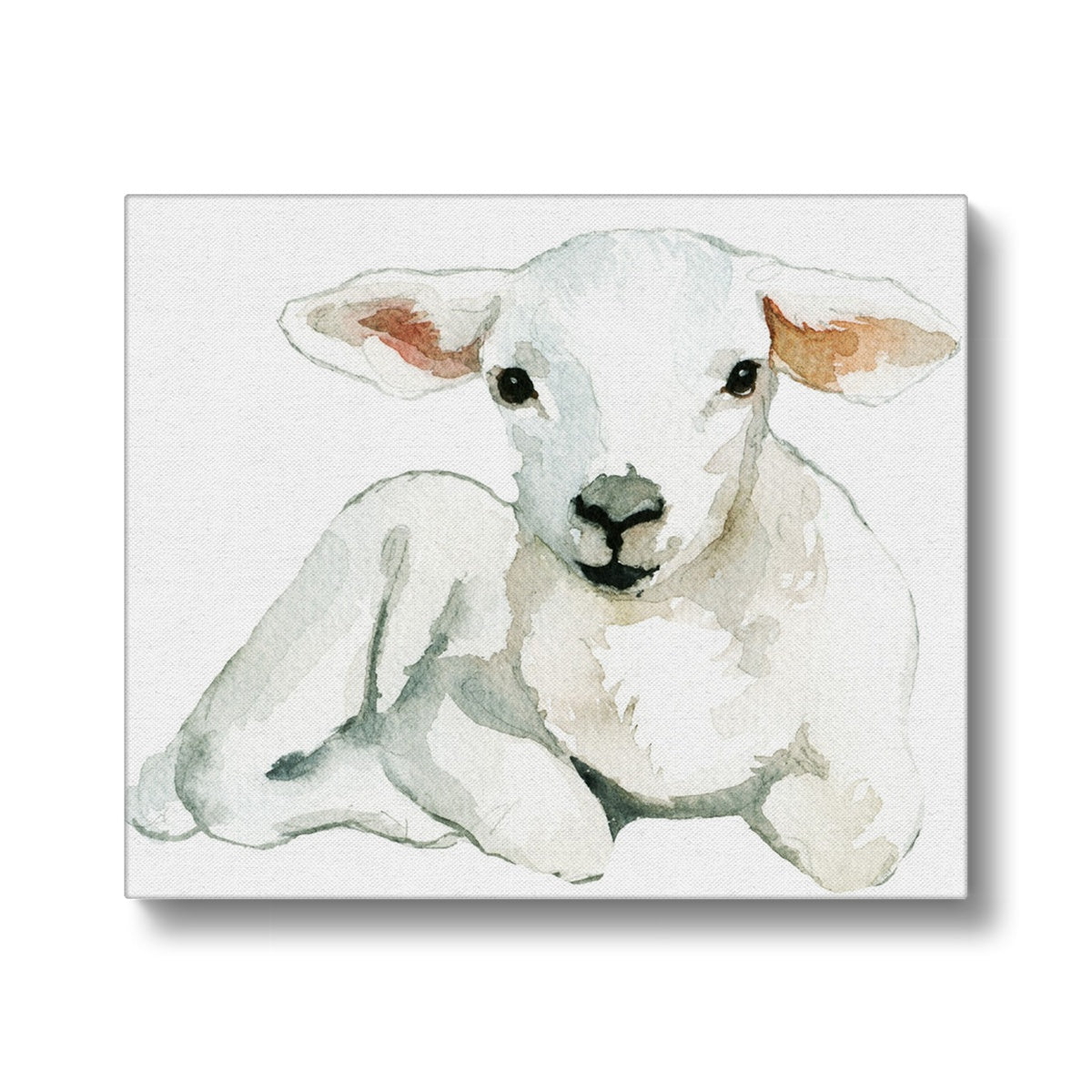 White Sheep Oil Painting Canvas