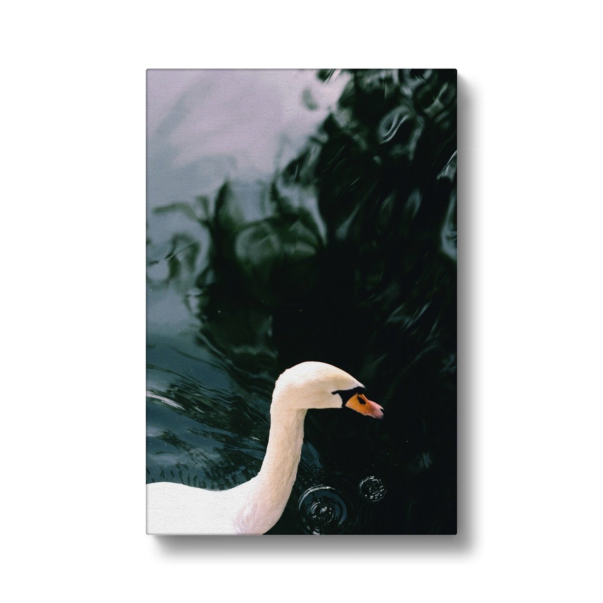 Impeccable Swan Painting Canvas