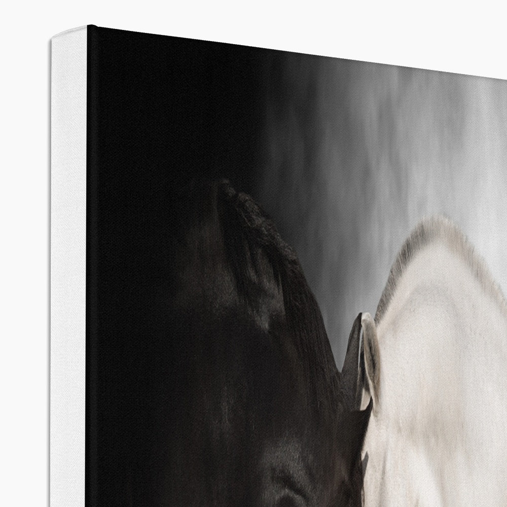 Black & White Horse Couple Portrait Canvas