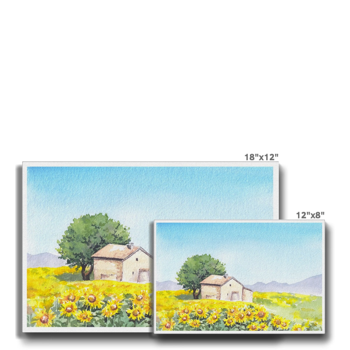 Farm & Sunflower Field Canvas