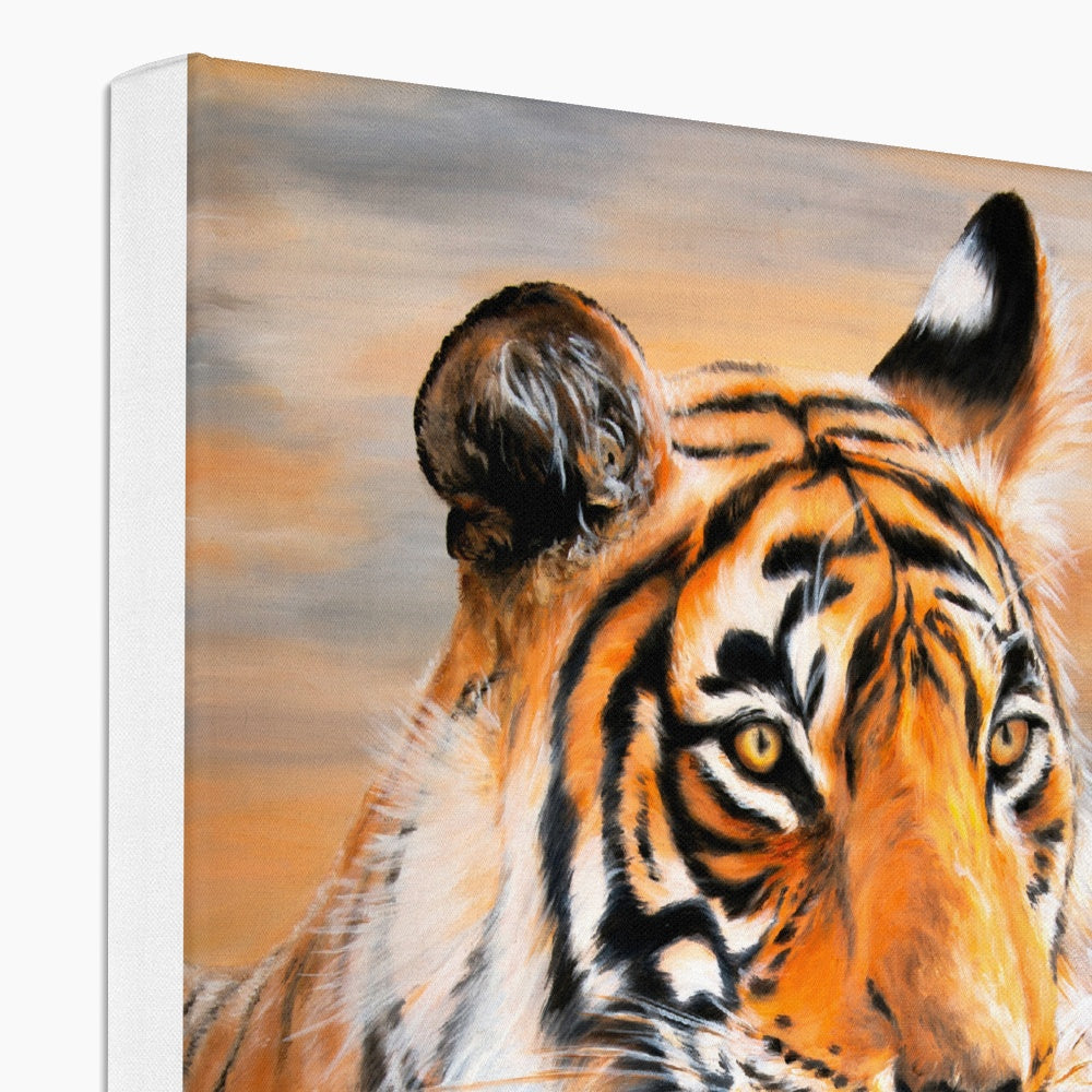 Magnificent Tiger Zoo Cat Illustration Canvas