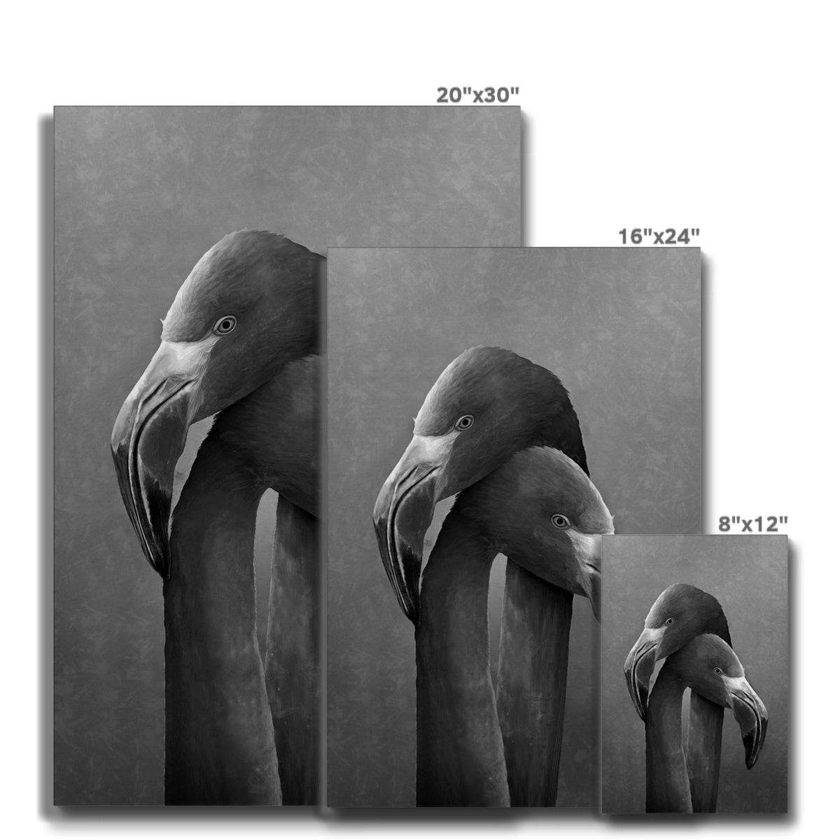 Grayscale Flamingos Couple Portrait Canvas