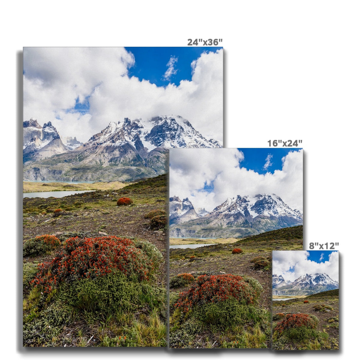 Great Mountains & Cerro Paine Grande Canvas