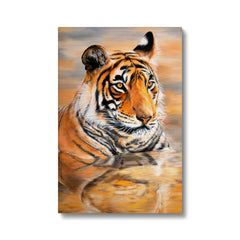 Magnificent Tiger Zoo Cat Illustration Canvas