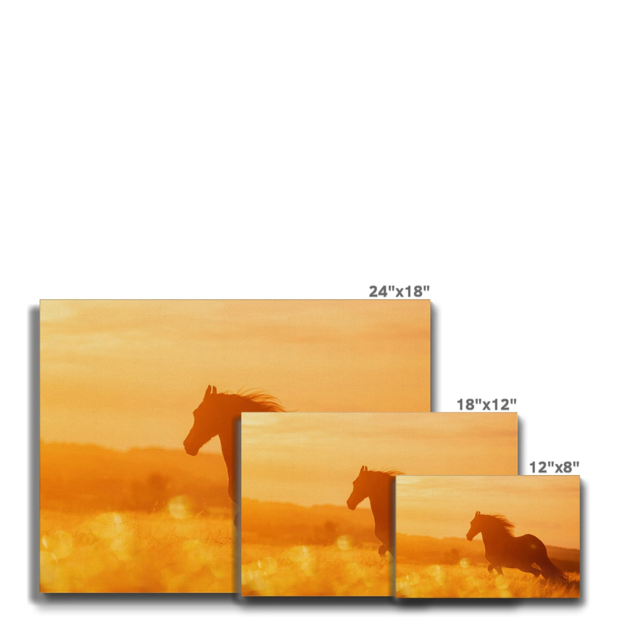 Horse & Golden Hour Canvas