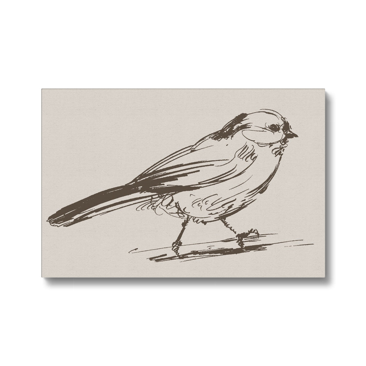 Amazing Sparrow Sketch Canvas