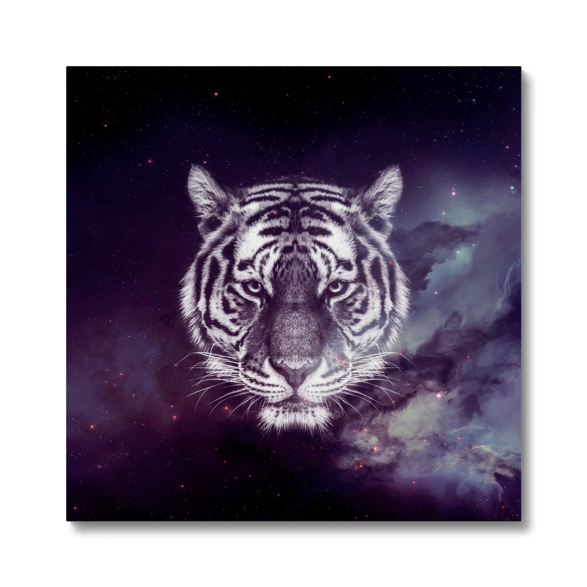 Black Galaxy Tiger Wall Art Canvas