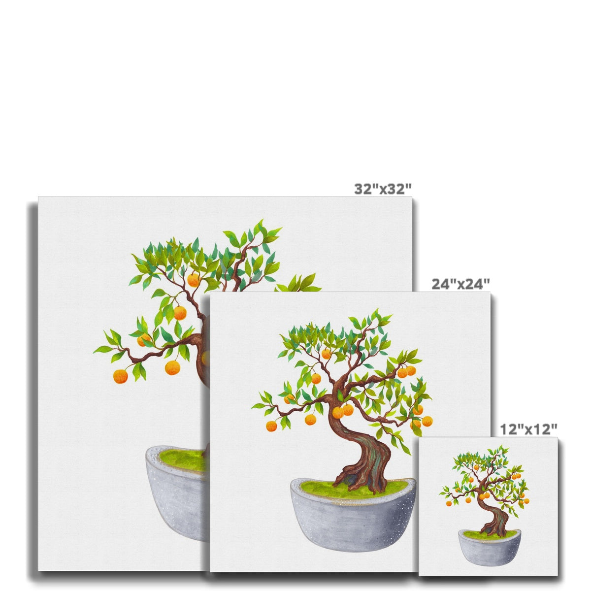 White Pot Bonsai Orange Tree Illustration Canvas