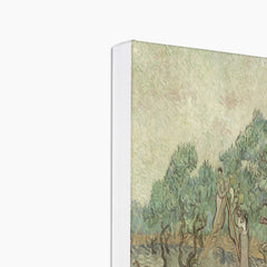 The Olive Orchard Painting II By Vincent Van Gogh Canvas