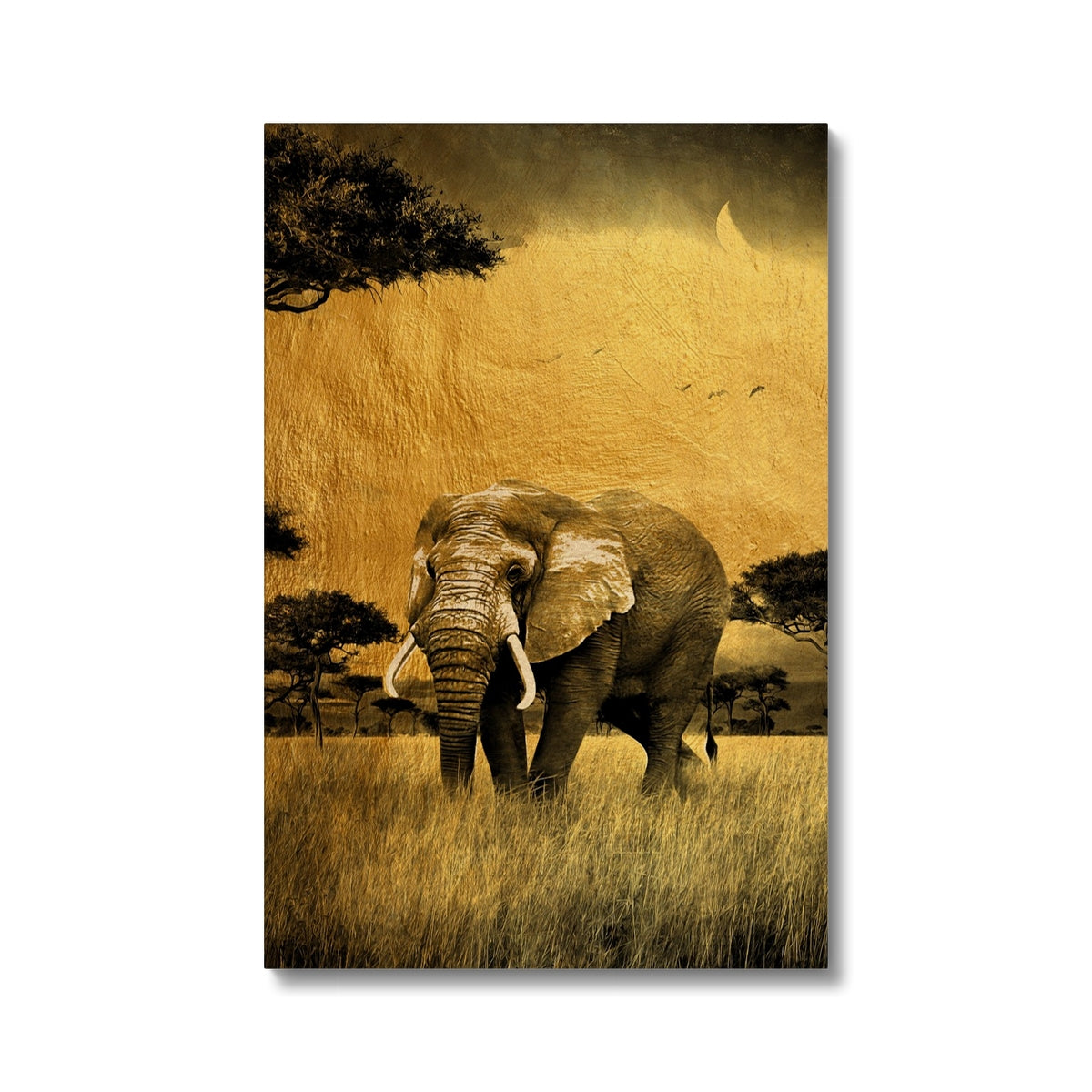 Black & Gold Elephant Canvas