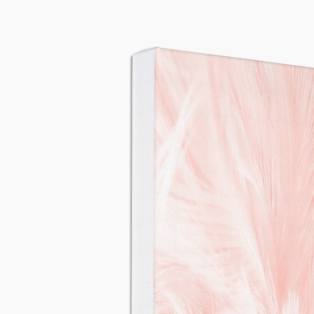 Pink Feathers Abstract Art Canvas