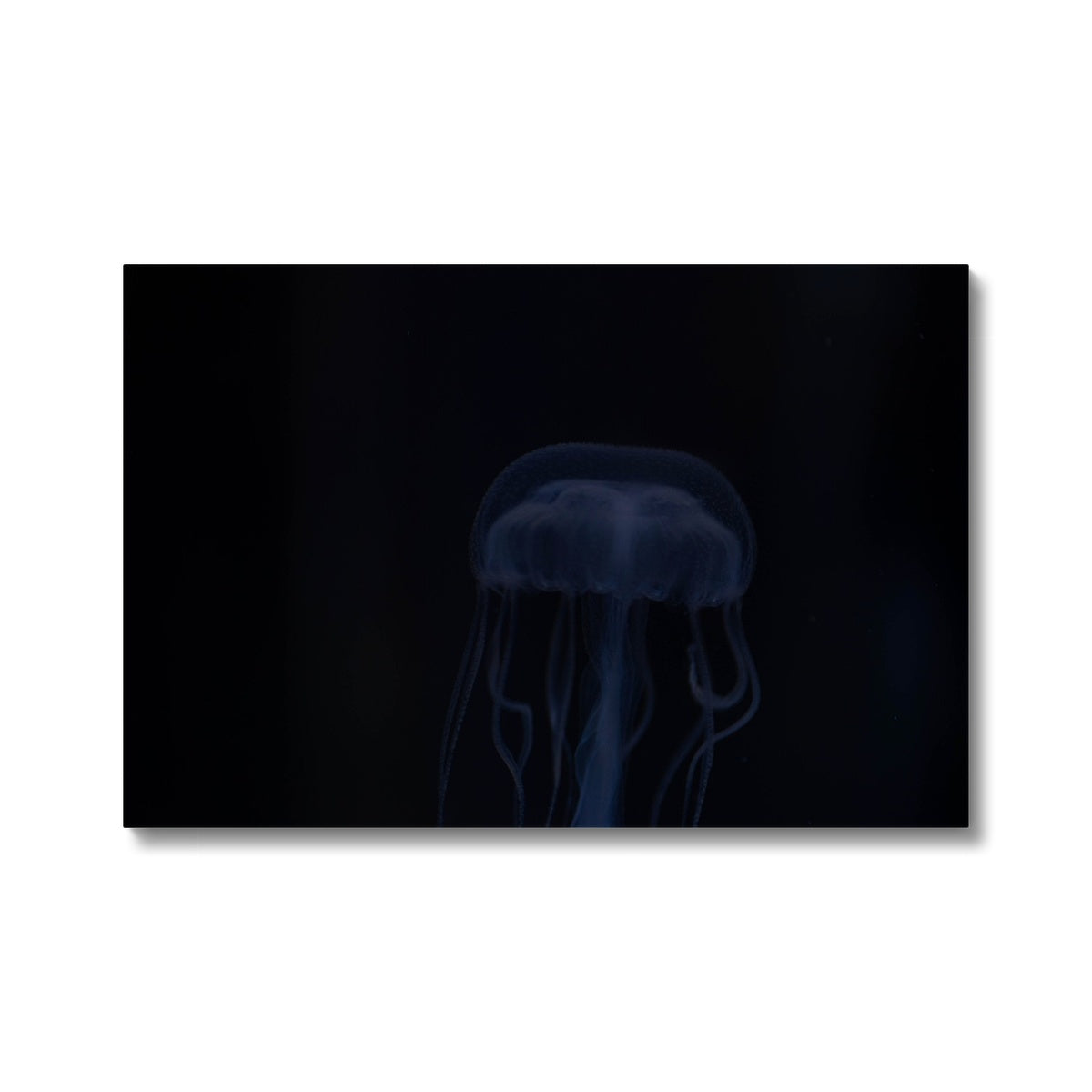 Dim Jelly Fish Painting Canvas