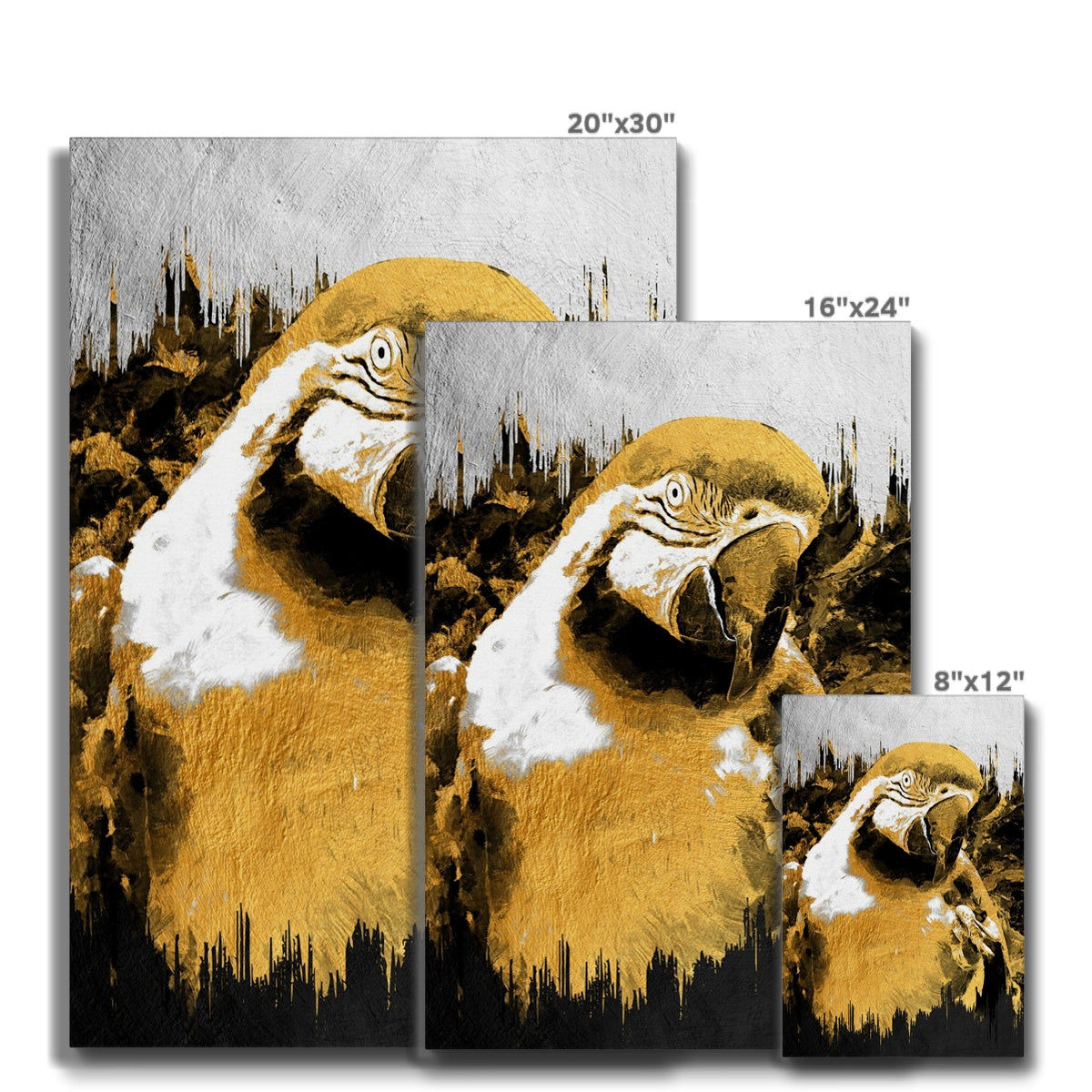 Black & Gold Parrot Canvas