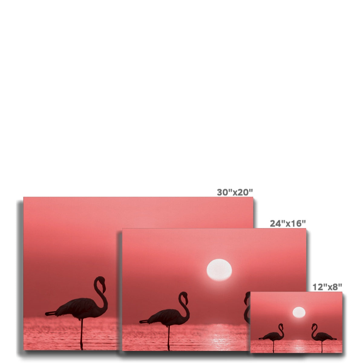 Flamingos & Pink Sky Sunset Canvas