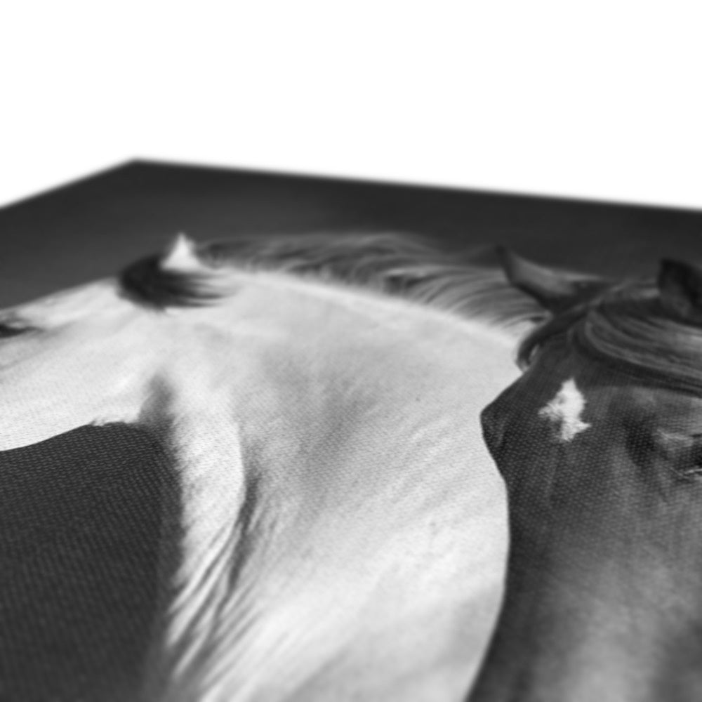 Black & White Horses Painting Canvas