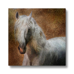 Remarkable White Horse Painting Canvas