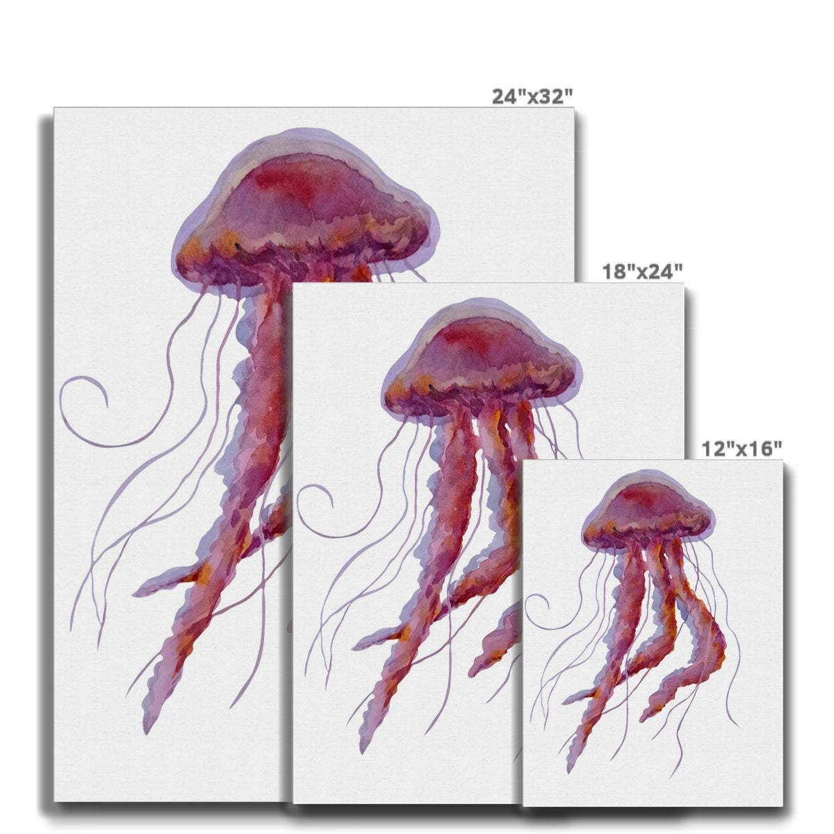 Adorable Jelly Fish Watercolor Painting Canvas