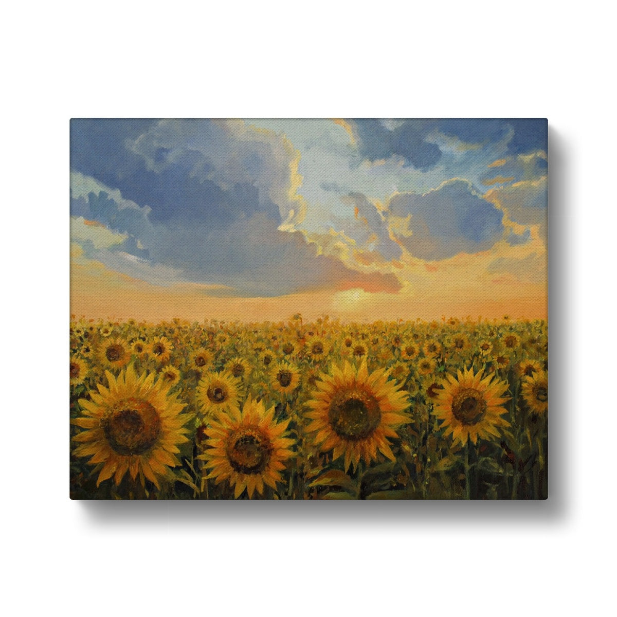 Sunflower Field & Sunset Canvas