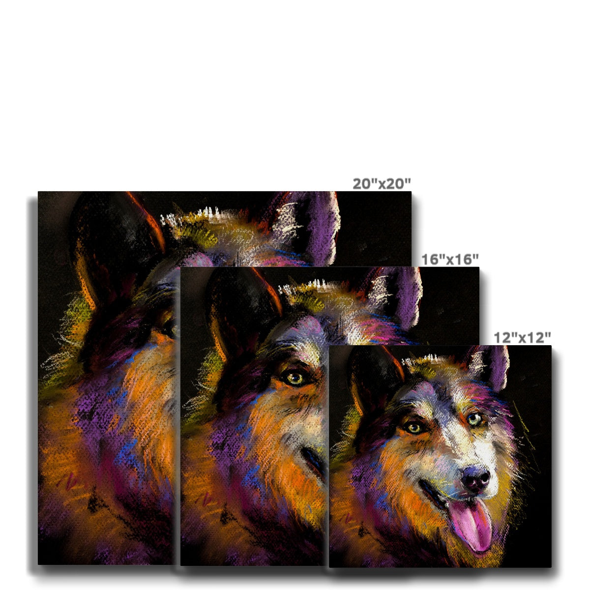 Multicolor Husky Portrait Canvas