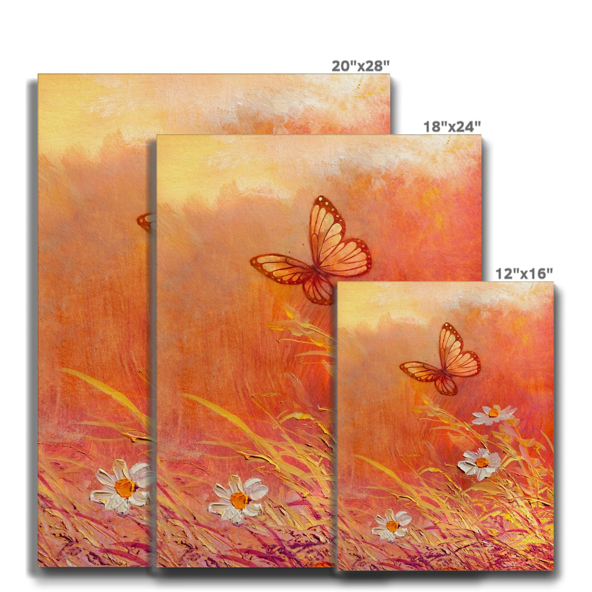Orange Butterfly & Daisy Canvas