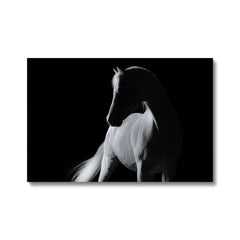 Ethereal Horse Portrait Canvas