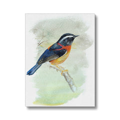 Orange & Black Sparrow Canvas