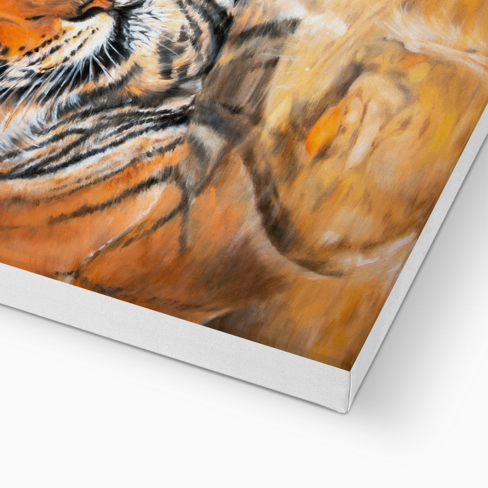 Magnificent Tiger Zoo Cat Illustration Canvas