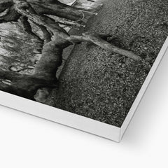 Monochrome Giant Creepy Tree  Canvas