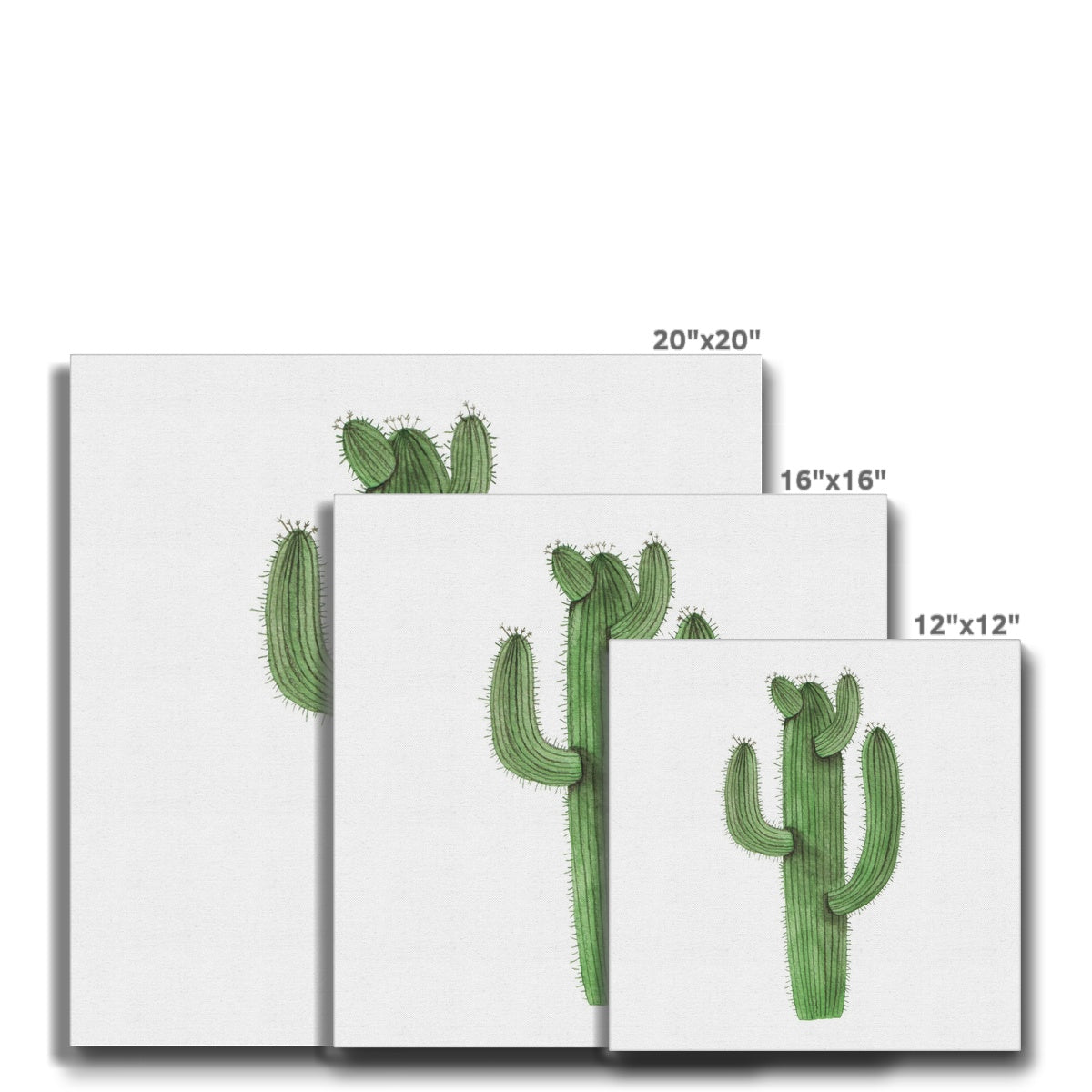 Impressive Illustration Of Cacti Canvas