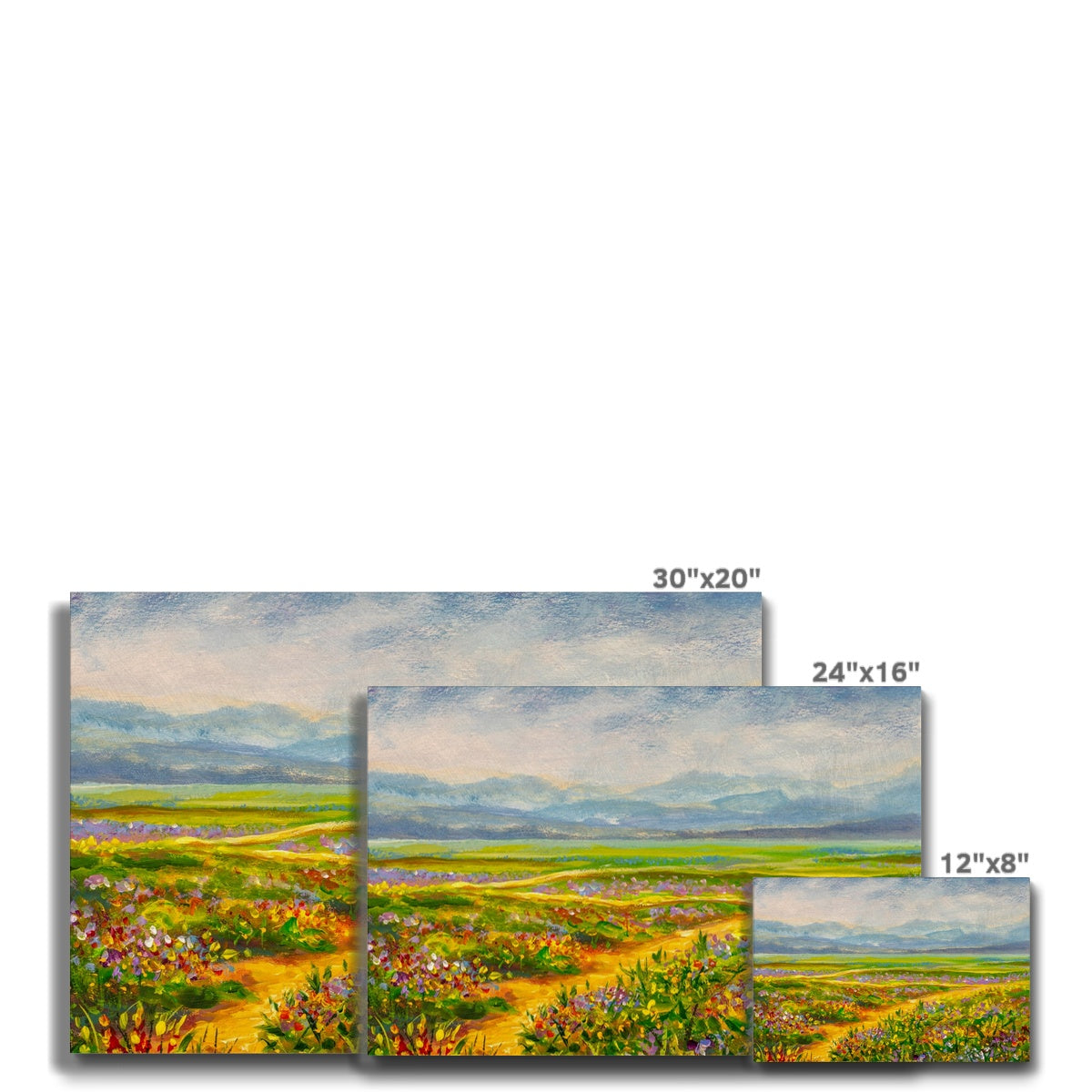 Breathtaking Flower Field Oil Painting Canvas