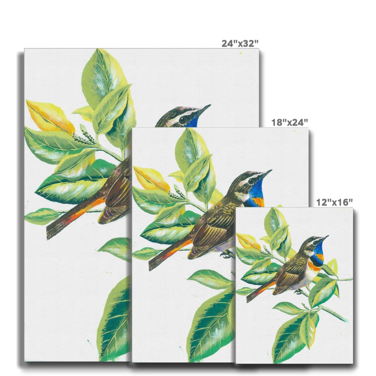 Blue & White Sparrow Canvas