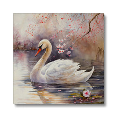 Glorious Painting of Swan Canvas