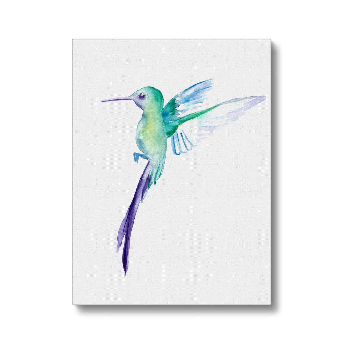 Dainty Hummingbird Canvas