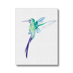 Dainty Hummingbird Canvas