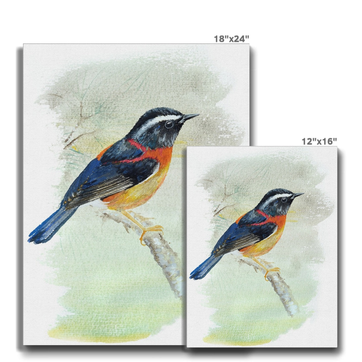 Orange & Black Sparrow Canvas