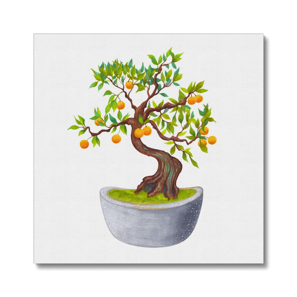 White Pot Bonsai Orange Tree Illustration Canvas